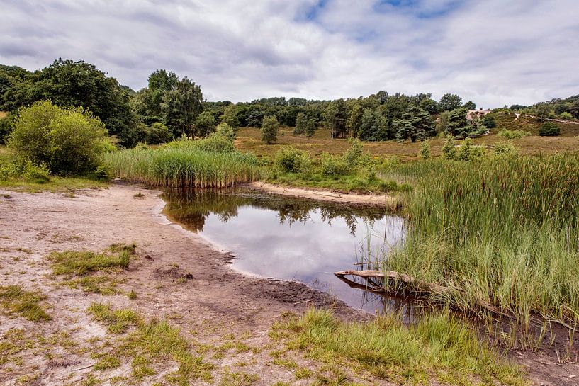 Ven @ Brunssummerheide par Rob Boon