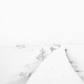 Walking in to a white world