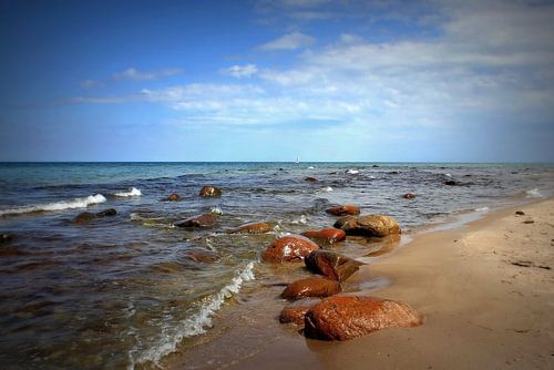 Baltic Sea stones
