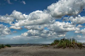 Wolkenluchten boven het Zwin in Cadzand-Bad van Ellen Driesse