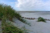 Ameland. par Anjo ten Kate Aperçu