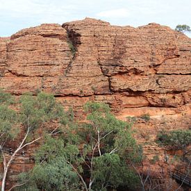 Uluru von Matthias Brix