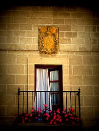 Windows von Francisco de Almeida
