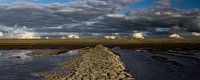 Waddenzee bij Westhoek (Het Bildt)