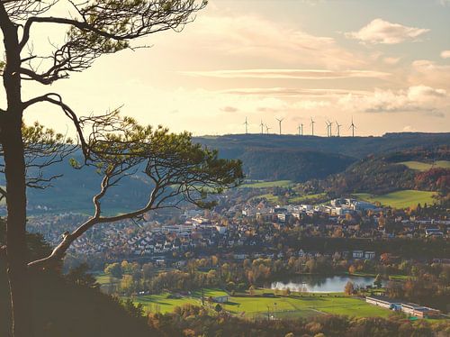 Blick auf Jenas Natur im Frühling