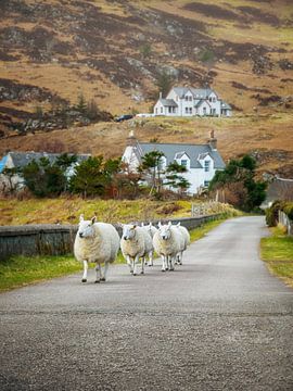 Ein typischer Tag in Schottland