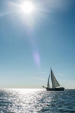 Sailboat on the horizon by Barbara Koppe