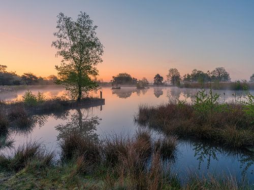 Sunrise at Smitsveen, Dwingelderveld, Drenthe by Henk Meijer Photography