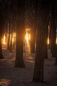 Zonsondergang tussen de parasoldennen. von Rens Kromhout