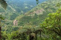 Ecuador: Sangay National Park (Baños) van Maarten Verhees thumbnail