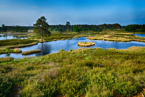 Die Hatertse Fens Nijmegen 2