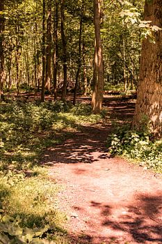 Lage Bergse Bos - Sonnenweg Nr. 1