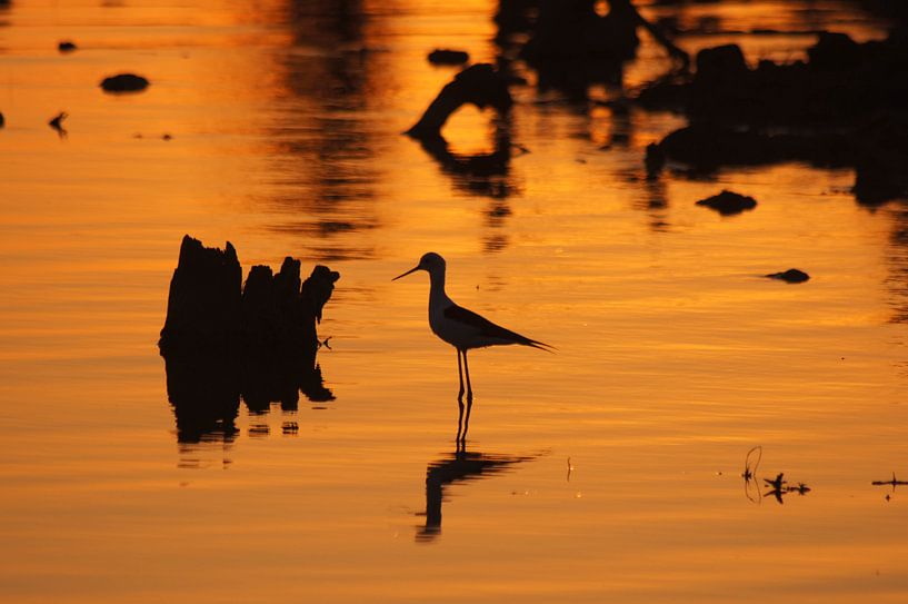 Zonsondergang Afrika van Herman van Egmond