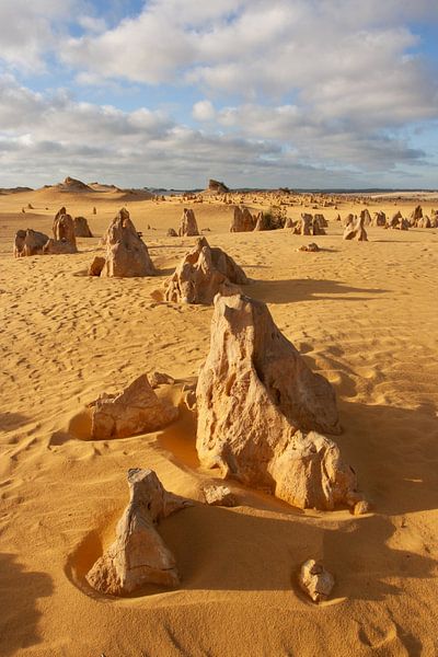 Pinnacle formations by Eric van Duijn