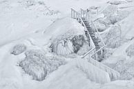 Frozen stairs van Loulou Beavers thumbnail