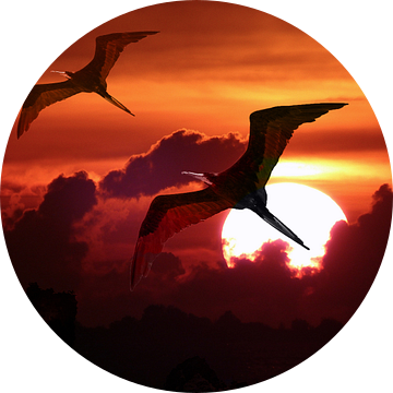 Fregat vogels tegen ondergaande zon van Loraine van der Sande