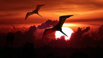 Fregat vogels tegen ondergaande zon von Loraine van der Sande