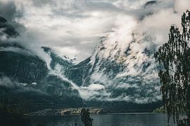 Mystik der Fjorde von Lichtlaub Fotografie | Toni Seyfert