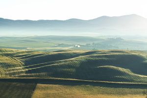 Nebliger Morgen im Val d'Orcia. Pienza, Toskana