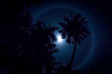 Magische maan, moon with halo van Corrine Ponsen