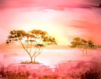 Das Licht Afrika`s