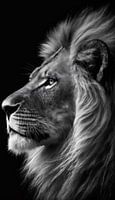 in Profil Lion