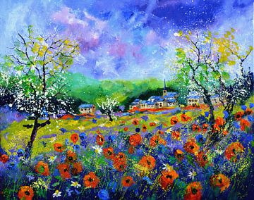 Klaprozen in Houroy van pol ledent