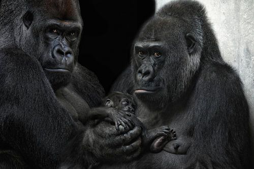 we are family by Joachim G. Pinkawa