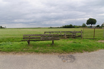 bank in  landscape