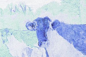 Blauwe koeien in het groen