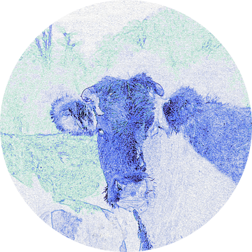 Blauwe koeien in het groen