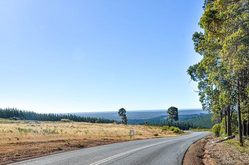 Ruimte en Rust, de wegen door het Margaret River landschap