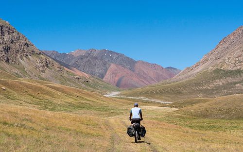 Fietser in ruig berglandschap