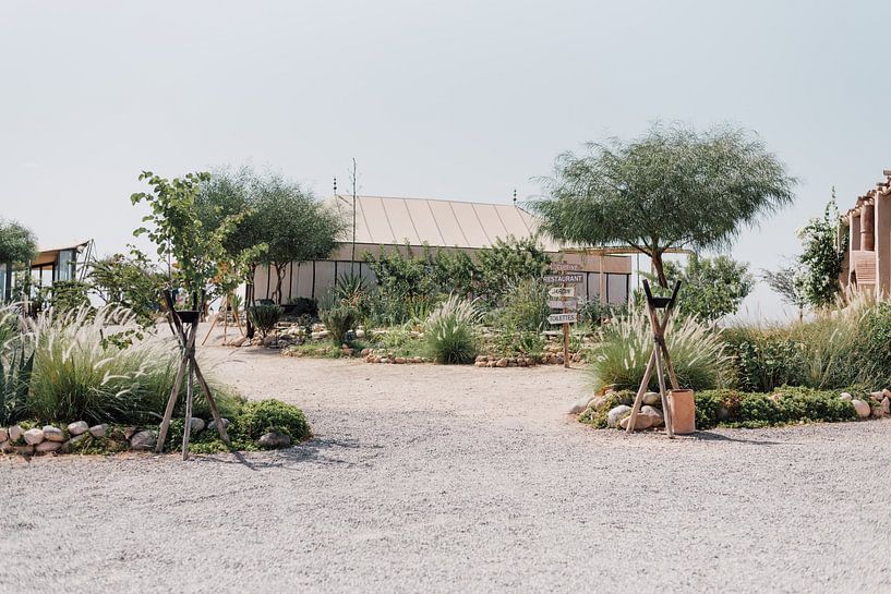 Restaurant | Südafrika Reisefotografie von Yaira Bernabela