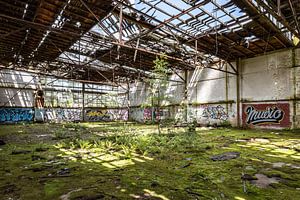Alter baufälliger Hangar - Lost Place Alter Flugplatz Rangsdorf