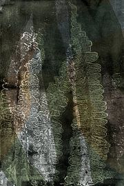 Modern botanical art. Fern leaves and abstract shapes in green, brown and black by Dina Dankers