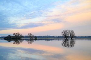 Hochwasser der IJssel mit hohen Wasserständen in den Überschwemmungsgebieten