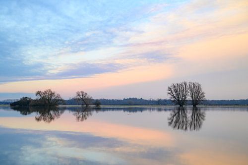 IJssel met hoge waterstand in de uiterwaarden