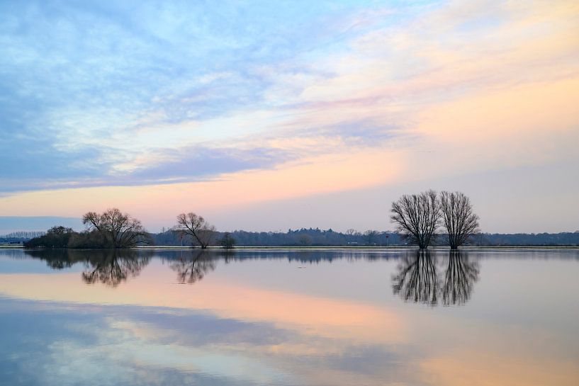 IJssel river flooding with high water levels on the floodplains  by Sjoerd van der Wal Photography