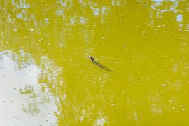 Allein, und doch vom Wasser umgeben