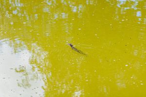 Seul, mais soutenu par l'eau