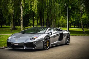 Lamborghini Aventador Roadster by UniQaps