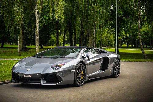 Lamborghini Aventador Roadster