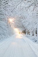 Winter in Otterlo