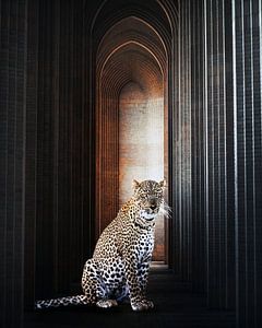 Panther