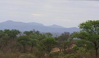 Kruger Park