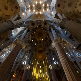 De prachtige binnenkant van de Sagrada Familia von Guido Akster