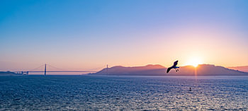 Coucher de soleil à San Francisco