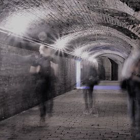Schimmen met een tunnelvisie by Elles van den Broek