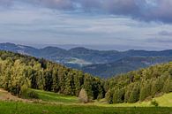 Prachtig wandelparadijs op de Rennsteig/Thüringerwoud van Oliver Hlavaty thumbnail